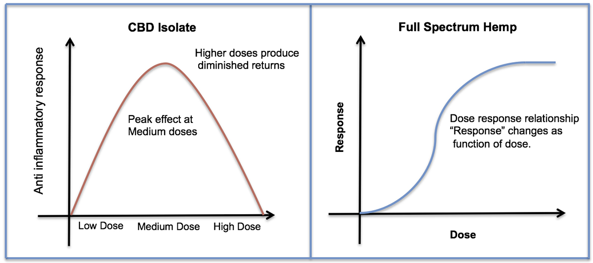 bell curve